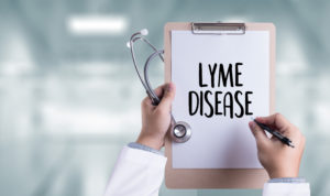 Seek medical advice if exposed to Lyme disease bacteria