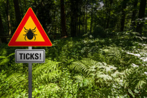 sign showing to beware of ticks that might carry lyme disease